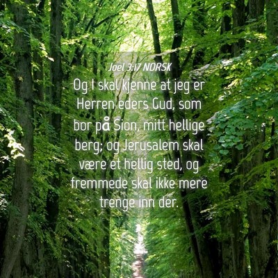 Picture 04 - Joel 3:17 NORSK - Og I skal kjenne at jeg er Herren eders Gud, som - Bible Verse Picture