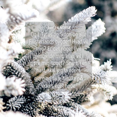 Picture 04 - Joel 3:4 NORSK - Og I, Tyrus og Sidon og alle Filisterlands - Bible Verse Picture