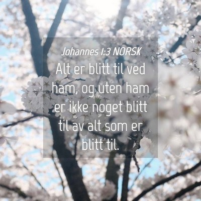 Picture 04 - Johannes 1:3 NORSK - Alt er blitt til ved ham, og uten ham er ikke - Bible Verse Picture