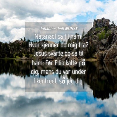 Picture 04 - Johannes 1:48 NORSK - Natanael sa til ham: Hvor kjenner du mig fra? - Bible Verse Picture