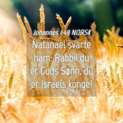 Picture 04 - Johannes 1:49 NORSK - Natanael svarte ham: Rabbi! du er Guds Sønn, du - Bible Verse Picture