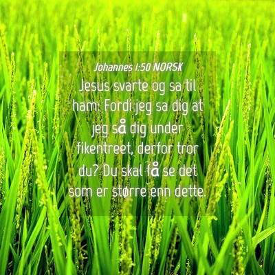 Picture 04 - Johannes 1:50 NORSK - Jesus svarte og sa til ham: Fordi jeg sa dig at - Bible Verse Picture