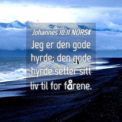 Picture 04 - Johannes 10:11 NORSK - Jeg er den gode hyrde; den gode hyrde setter sitt - Bible Verse Picture