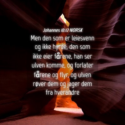 Picture 04 - Johannes 10:12 NORSK - Men den som er leiesvenn og ikke hyrde, den som - Bible Verse Picture