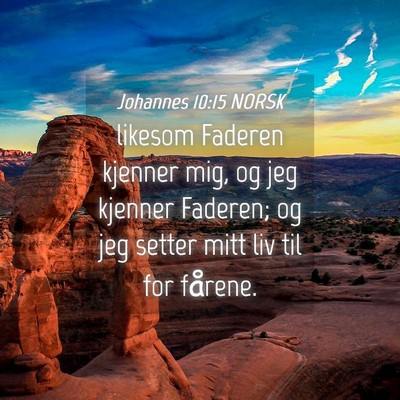 Picture 04 - Johannes 10:15 NORSK - likesom Faderen kjenner mig, og jeg kjenner - Bible Verse Picture
