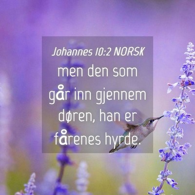 Picture 04 - Johannes 10:2 NORSK - men den som går inn gjennem døren, han er - Bible Verse Picture