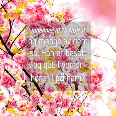 Picture 04 - Johannes 10:20 NORSK - og mange av dem sa: Han er besatt og gal; hvorfor - Bible Verse Picture