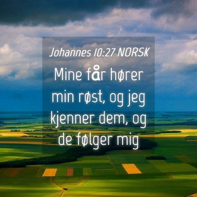 Picture 04 - Johannes 10:27 NORSK - Mine får hører min røst, og jeg kjenner dem, - Bible Verse Picture