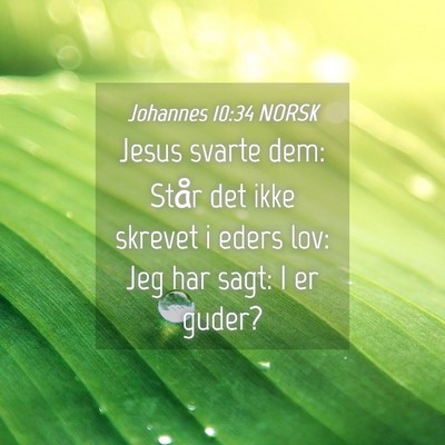 Picture 04 - Johannes 10:34 NORSK - Jesus svarte dem: Står det ikke skrevet i eders - Bible Verse Picture