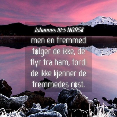 Picture 04 - Johannes 10:5 NORSK - men en fremmed følger de ikke, de flyr fra ham, - Bible Verse Picture