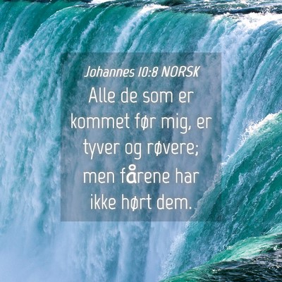 Picture 04 - Johannes 10:8 NORSK - Alle de som er kommet før mig, er tyver og - Bible Verse Picture
