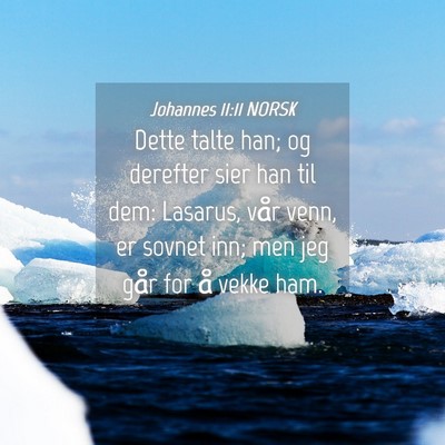 Picture 04 - Johannes 11:11 NORSK - Dette talte han; og derefter sier han til dem: - Bible Verse Picture