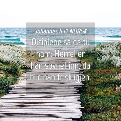 Picture 04 - Johannes 11:12 NORSK - Disiplene sa da til ham: Herre! er han sovnet - Bible Verse Picture