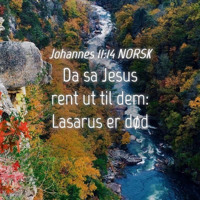 Picture 04 - Johannes 11:14 NORSK - Da sa Jesus rent ut til dem: Lasarus er - Bible Verse Picture