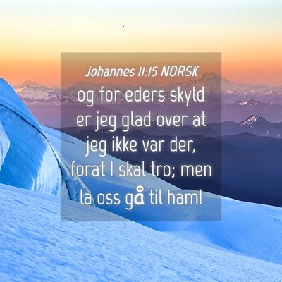 Picture 04 - Johannes 11:15 NORSK - og for eders skyld er jeg glad over at jeg ikke - Bible Verse Picture
