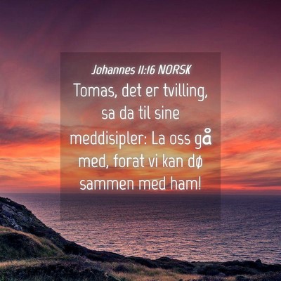 Picture 04 - Johannes 11:16 NORSK - Tomas, det er tvilling, sa da til sine - Bible Verse Picture