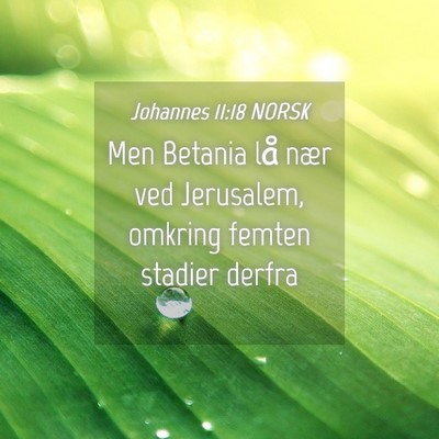Picture 04 - Johannes 11:18 NORSK - Men Betania lå nær ved Jerusalem, omkring - Bible Verse Picture