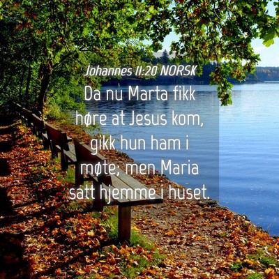 Picture 04 - Johannes 11:20 NORSK - Da nu Marta fikk høre at Jesus kom, gikk hun ham - Bible Verse Picture