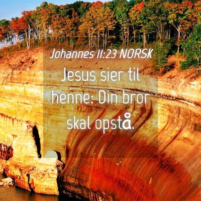Picture 04 - Johannes 11:23 NORSK - Jesus sier til henne: Din bror skal - Bible Verse Picture