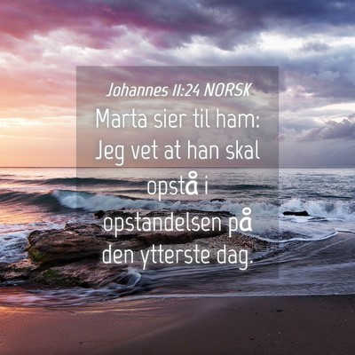 Picture 04 - Johannes 11:24 NORSK - Marta sier til ham: Jeg vet at han skal opstå i - Bible Verse Picture