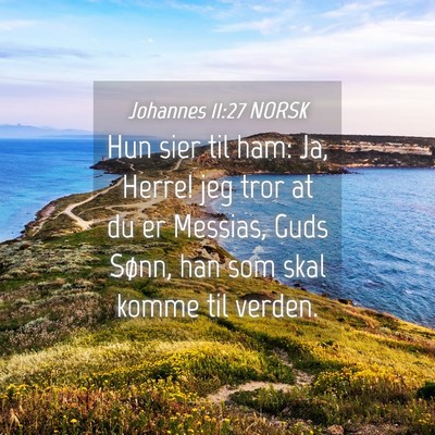 Picture 04 - Johannes 11:27 NORSK - Hun sier til ham: Ja, Herre! jeg tror at du er - Bible Verse Picture