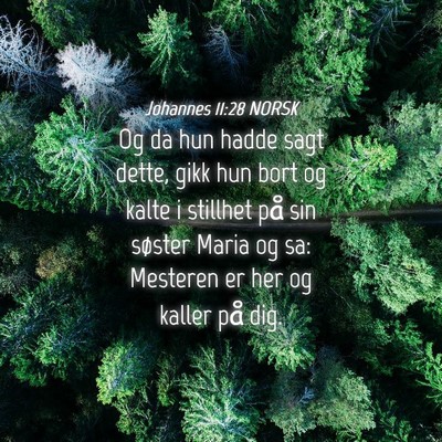 Picture 04 - Johannes 11:28 NORSK - Og da hun hadde sagt dette, gikk hun bort og - Bible Verse Picture