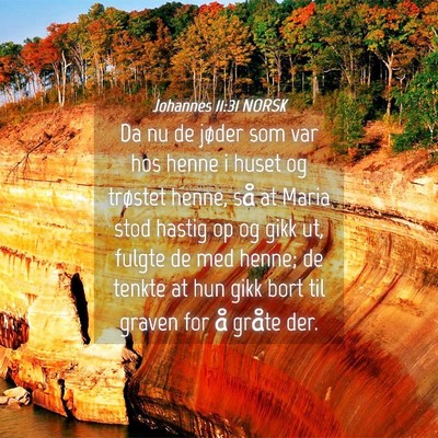 Picture 04 - Johannes 11:31 NORSK - Da nu de jøder som var hos henne i huset og - Bible Verse Picture