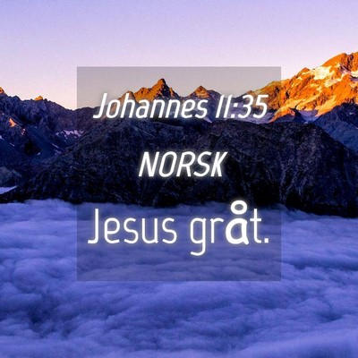 Picture 04 - Johannes 11:35 NORSK - Jesus - Bible Verse Picture