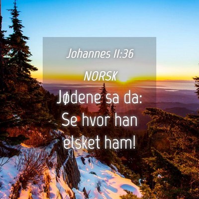 Picture 04 - Johannes 11:36 NORSK - Jødene sa da: Se hvor han elsket - Bible Verse Picture