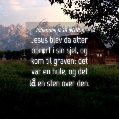 Picture 04 - Johannes 11:38 NORSK - Jesus blev da atter oprørt i sin sjel, og kom - Bible Verse Picture