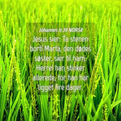Picture 04 - Johannes 11:39 NORSK - Jesus sier: Ta stenen bort! Marta, den dødes - Bible Verse Picture