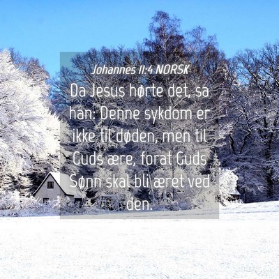 Picture 04 - Johannes 11:4 NORSK - Da Jesus hørte det, sa han: Denne sykdom er ikke - Bible Verse Picture