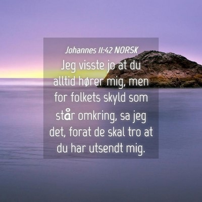 Picture 04 - Johannes 11:42 NORSK - Jeg visste jo at du alltid hører mig, men for - Bible Verse Picture