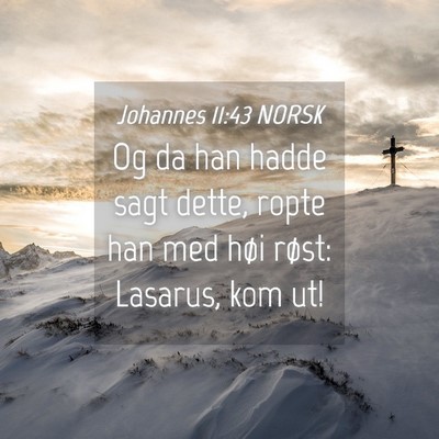 Picture 04 - Johannes 11:43 NORSK - Og da han hadde sagt dette, ropte han med høi - Bible Verse Picture
