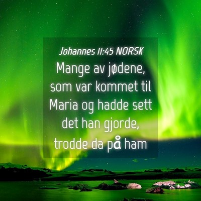 Picture 04 - Johannes 11:45 NORSK - Mange av jødene, som var kommet til Maria og - Bible Verse Picture