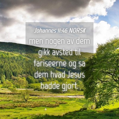 Picture 04 - Johannes 11:46 NORSK - men nogen av dem gikk avsted til fariseerne og sa - Bible Verse Picture