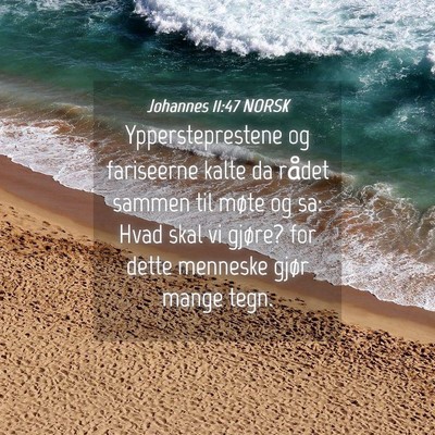 Picture 04 - Johannes 11:47 NORSK - Yppersteprestene og fariseerne kalte da rådet - Bible Verse Picture