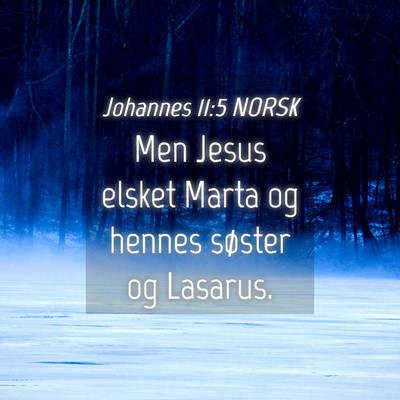 Picture 04 - Johannes 11:5 NORSK - Men Jesus elsket Marta og hennes søster og - Bible Verse Picture