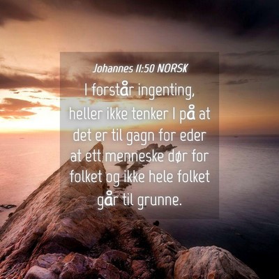 Picture 04 - Johannes 11:50 NORSK - I forstår ingenting, heller ikke tenker I på at - Bible Verse Picture