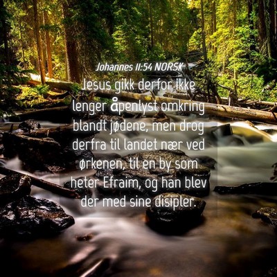 Picture 04 - Johannes 11:54 NORSK - Jesus gikk derfor ikke lenger åpenlyst omkring - Bible Verse Picture