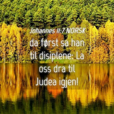 Picture 04 - Johannes 11:7 NORSK - da først sa han til disiplene: La oss dra til - Bible Verse Picture