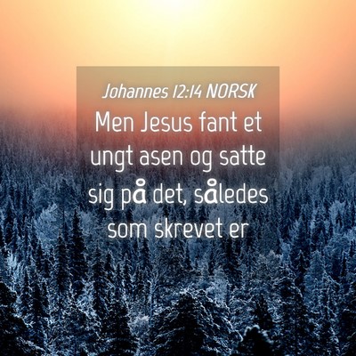 Picture 04 - Johannes 12:14 NORSK - Men Jesus fant et ungt asen og satte sig på det, - Bible Verse Picture