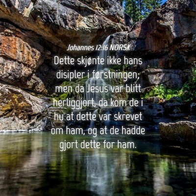 Picture 04 - Johannes 12:16 NORSK - Dette skjønte ikke hans disipler i førstningen; - Bible Verse Picture