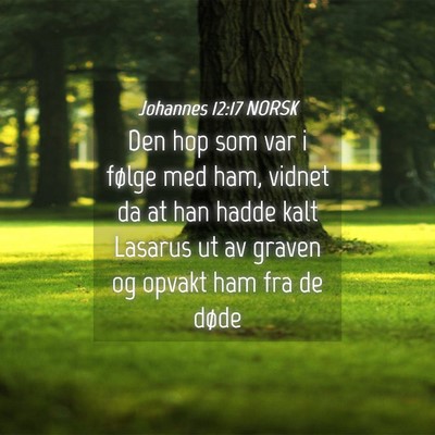 Picture 04 - Johannes 12:17 NORSK - Den hop som var i følge med ham, vidnet da at - Bible Verse Picture