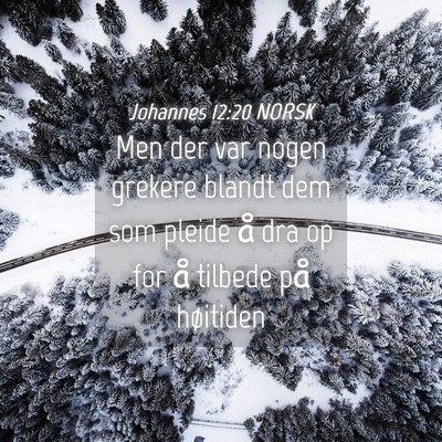 Picture 04 - Johannes 12:20 NORSK - Men der var nogen grekere blandt dem som pleide - Bible Verse Picture