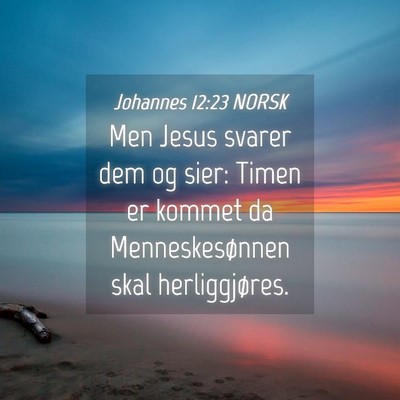 Picture 04 - Johannes 12:23 NORSK - Men Jesus svarer dem og sier: Timen er kommet da - Bible Verse Picture