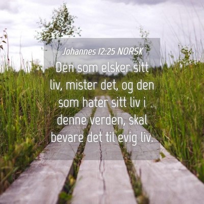 Picture 04 - Johannes 12:25 NORSK - Den som elsker sitt liv, mister det, og den som - Bible Verse Picture
