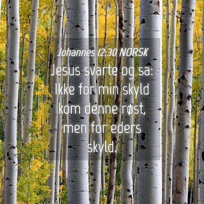 Picture 04 - Johannes 12:30 NORSK - Jesus svarte og sa: Ikke for min skyld kom denne - Bible Verse Picture