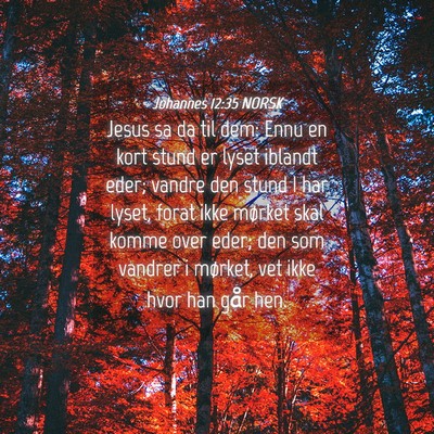 Picture 04 - Johannes 12:35 NORSK - Jesus sa da til dem: Ennu en kort stund er lyset - Bible Verse Picture