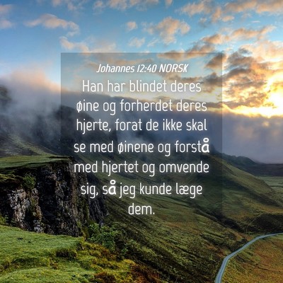 Picture 04 - Johannes 12:40 NORSK - Han har blindet deres øine og forherdet deres - Bible Verse Picture